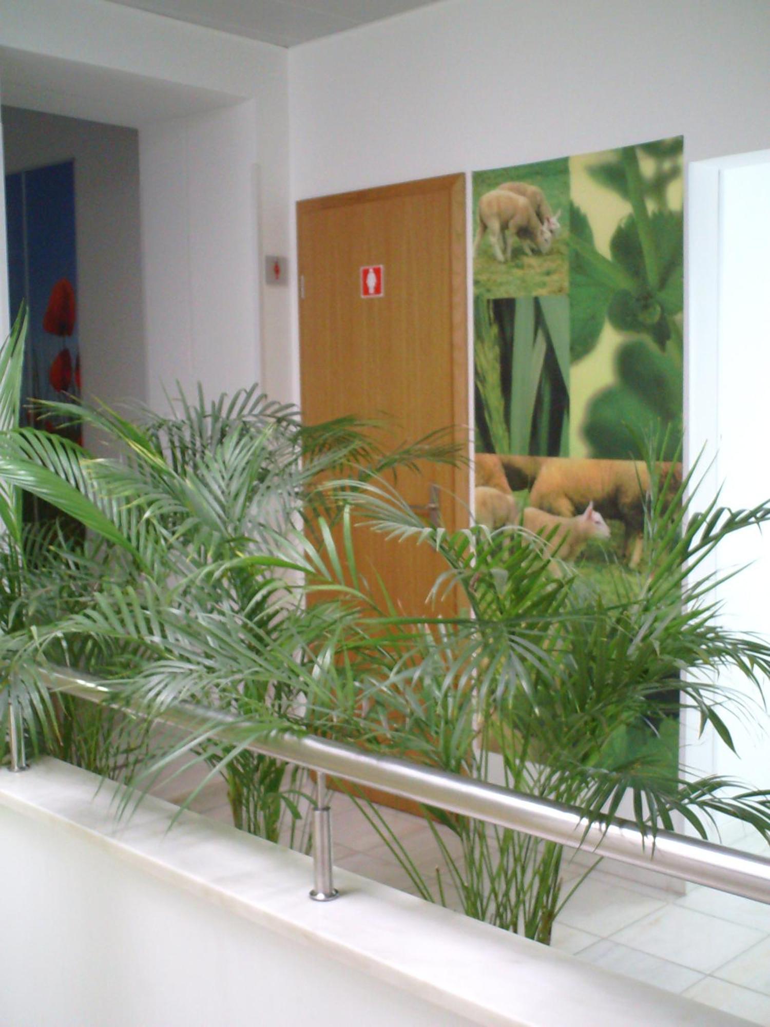 Hotel Serafim Almodôvar Екстериор снимка